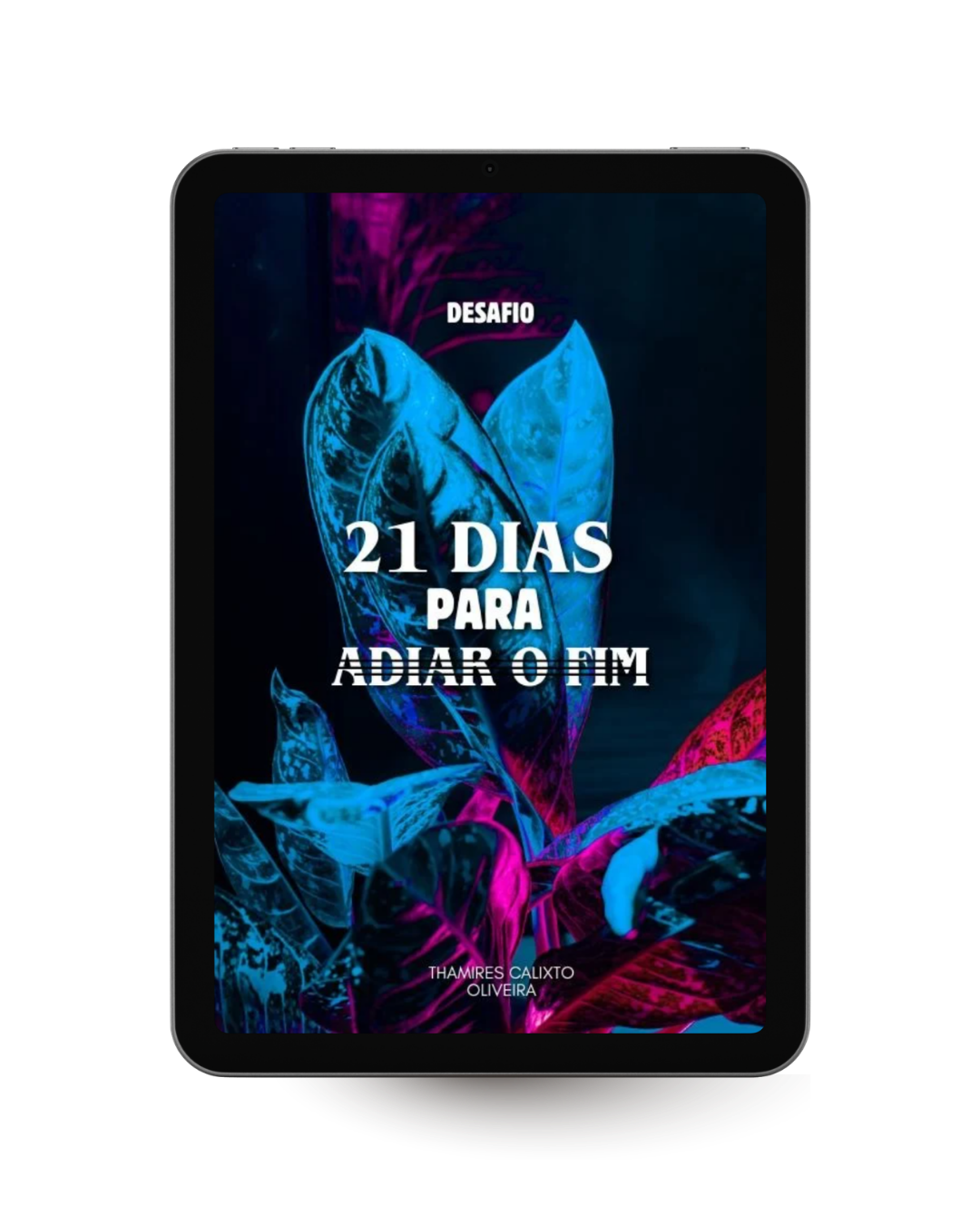 Prévia do conteúdo do ebook - página 1